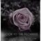 Look to the Flowers