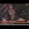 Jennifer Morrison talks about American Idol & Paula Abdul