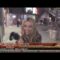 Aubrey O’day talks about Michael Jackson & Paula Abdul